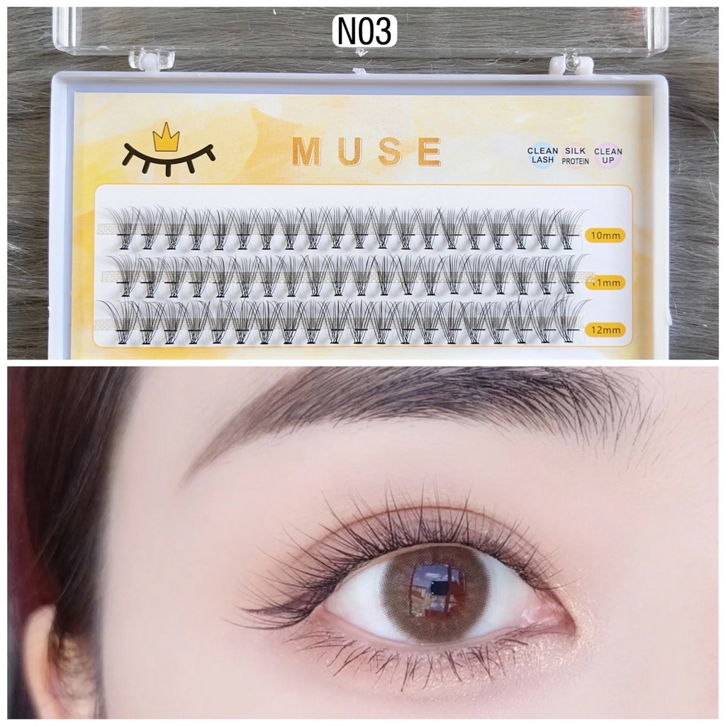 Mi mắt Muse gắn sợi cực đẹp