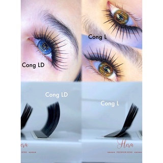 mi cong Ld Và L độ dày 0.07