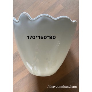 Chậu trứng trồng cây decor