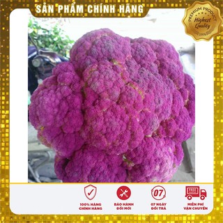Hạt Giống Súp Lơ Mix 10 Hạt