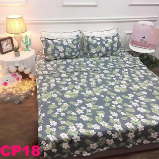Set chăn ga gối cotton poly 5 món cp18 siêu đẹp