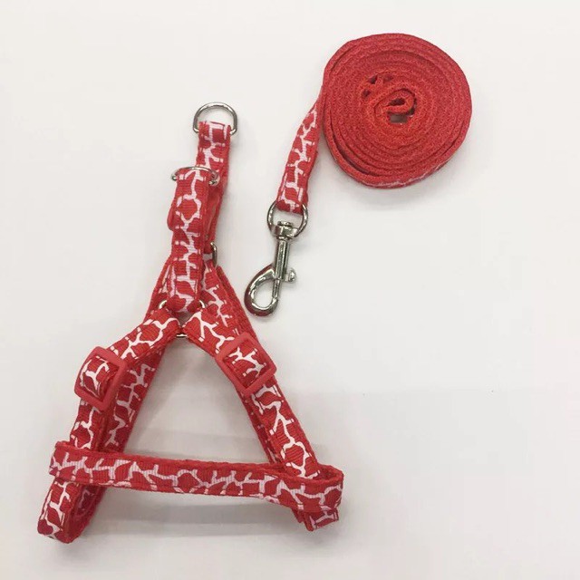 🔴 DÂY DẮT CHÓ MÈO HOẠ TIẾT BỀN DAI!!