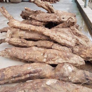 Bột sắn dây nguyên chất 1kg