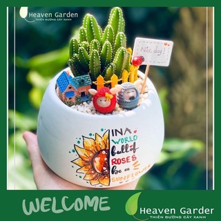 TIỂU CẢNH XƯƠNG RỒNG THANH SƠN (chậu cây để bàn)