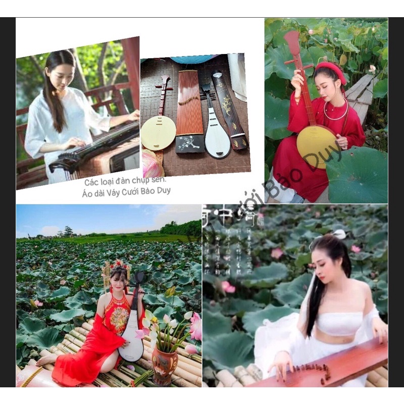 Đạo cụ đàn chụp sen  đàn mô phỏng tỳ bà, đàn nguyệt- đàn tranh