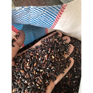 Gạo Nếp Cẩm Dẻo Thơm Vùng Núi Tây Bắc 1kg.