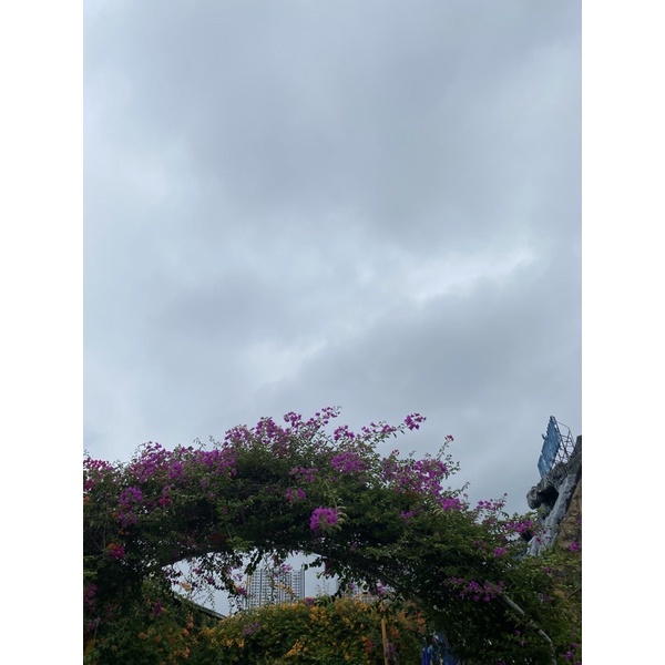 Chai bỏng Ngô siêu tốc khổng lồ ăn mãi không hết đây ak