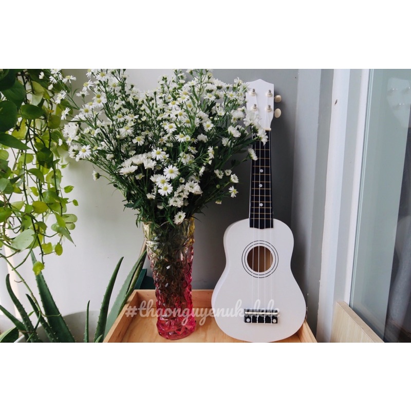Đàn ukulele soprano màu trắng-Gỗ 100%