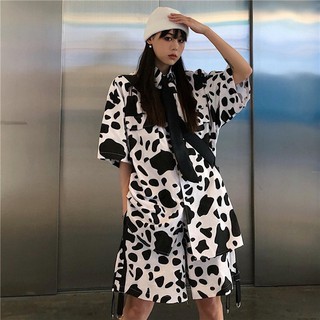 🐮🐮 set sơ mi bò sữa túi hộp + sooc bò sữa
