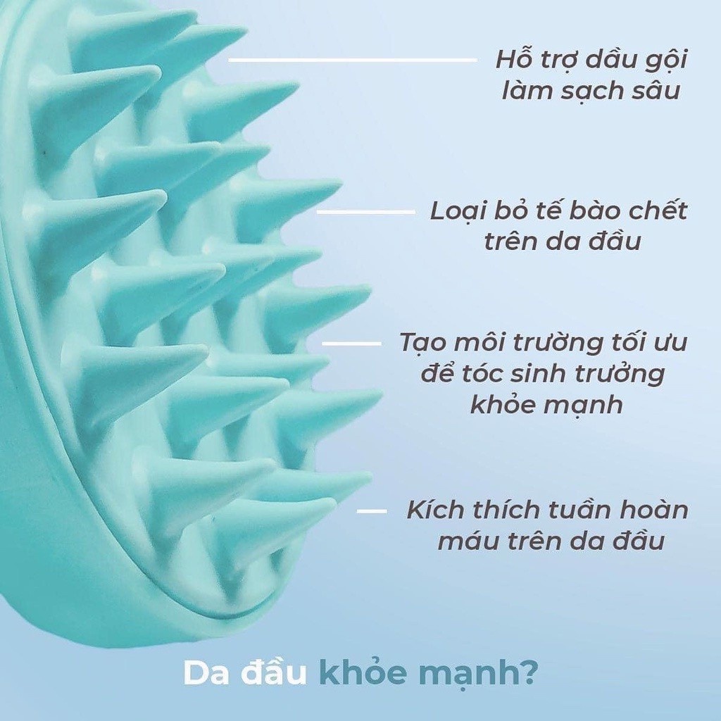 Lược gội đầu và massage da đầu kích thích mọc tóc Hairburst