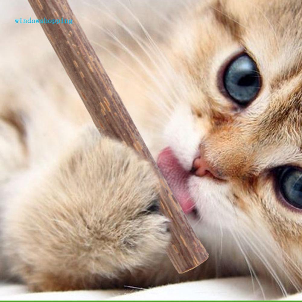 Que gặm chuyên dụng làm sạch răng cho mèo cưng