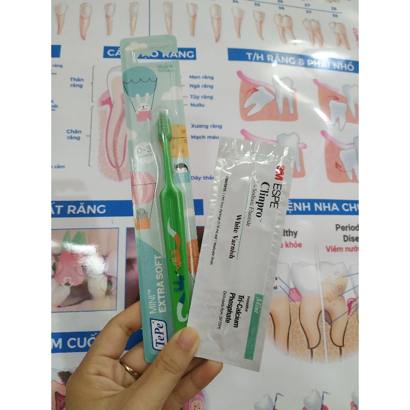 Combo bàn chải  + Vecni Fluor 3m