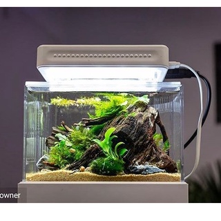 Bể cá siêu mini - Cunzo Mini Plastic Fish Tank