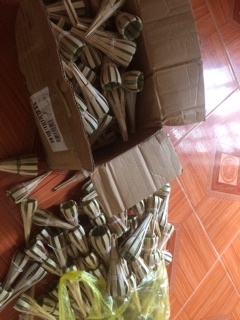 Hom lươn Tre 34,42,48,60
