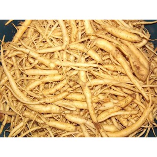 500g đẳng sâm khô - sâm núi