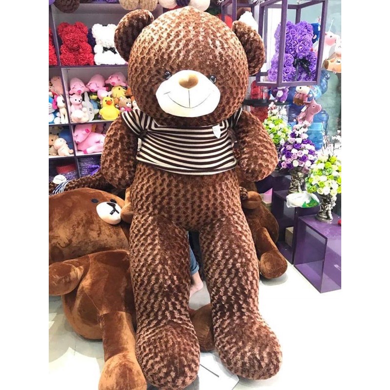 [Mã LIFEXANH03 giảm 10% đơn 500K] ✨XẢ LỖ✨ Gấu Bông Teddy Gấu Brown Khổng Lồ