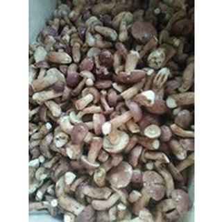 100g nấm tràm khô