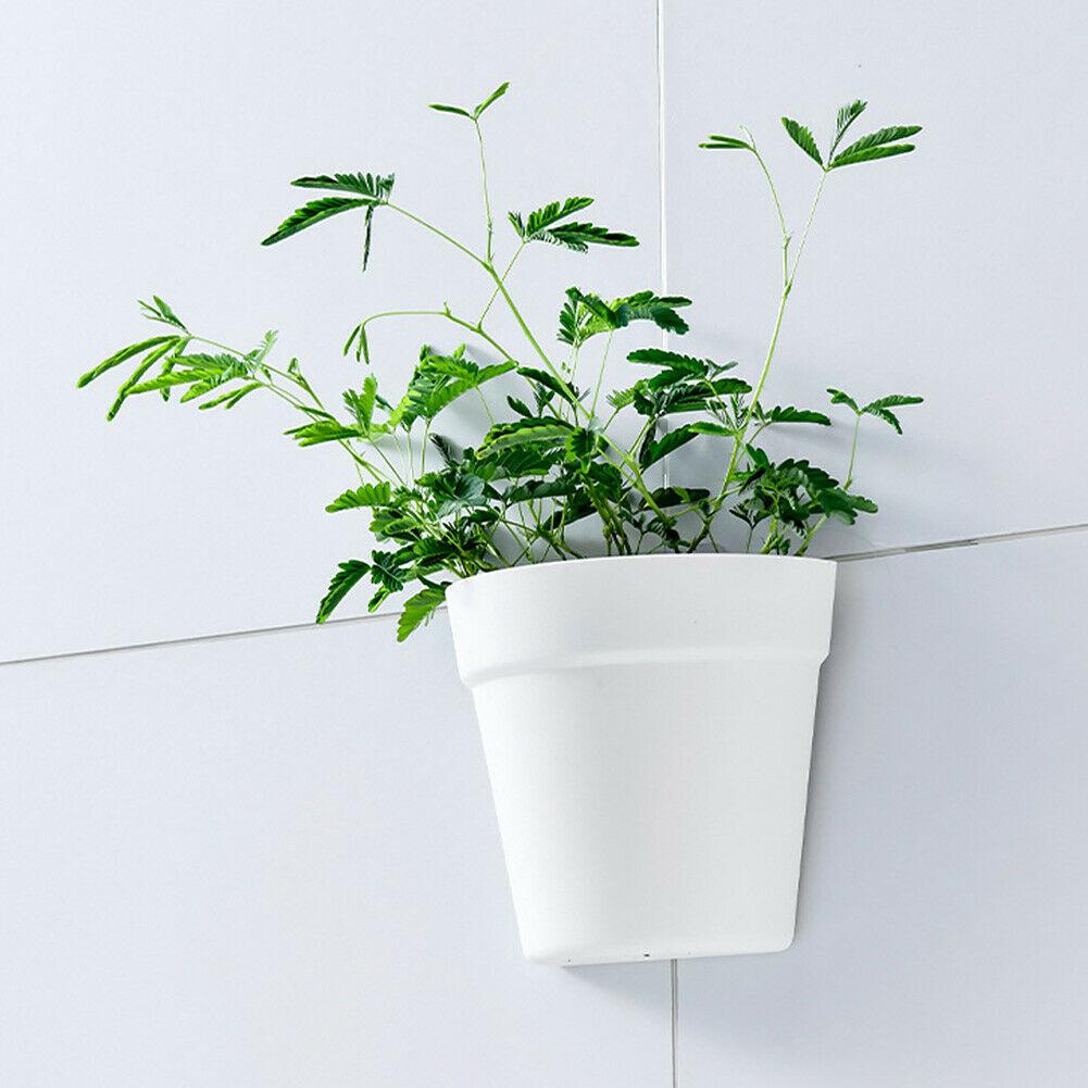 Chậu Hoa Treo Trong Nhà / Ngoài Trời Bằng Nhựa Phong Cách Bắc