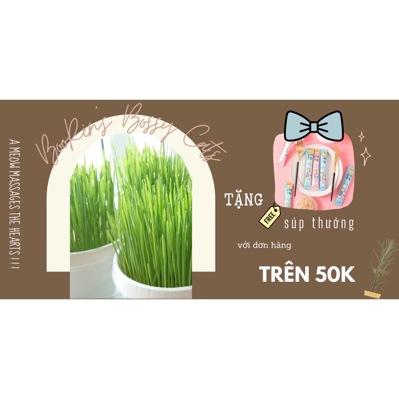 🎁🎁🎁 Quà tặng cho khách yêu 🎁🎁🎁