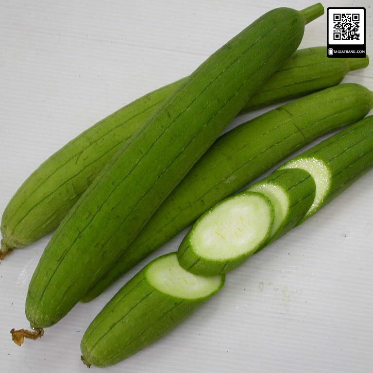 [Bán sỉ] - Hạt giống Mướp hương Thái Lan