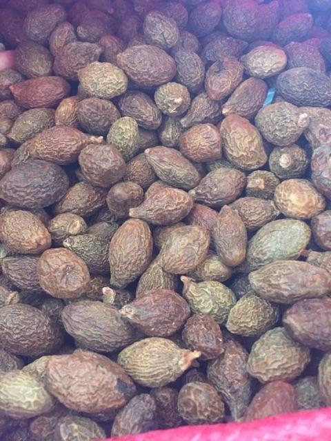 🍁🍀HẠT ƯƠI BAY RỪNG 1 ký 🍀🍁