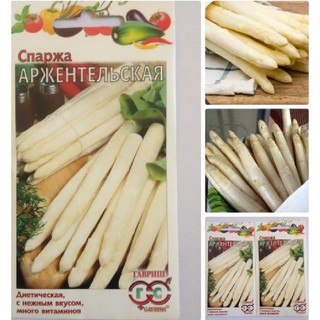 20 Hạt giống Măng Tây Trắng (Kèm kích thích hạt nảy mầm)