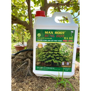 Phân bón max root bung đọt ra rễ chuyên dùng cho mai vàng can 5 lít