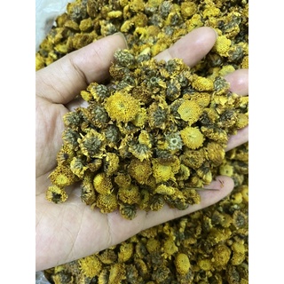 Hoa cúc chi nhà trồng sấy lạnh