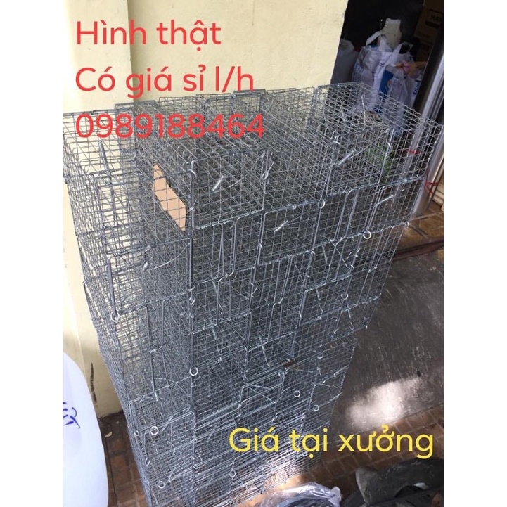 10 Lồng bẫy chuột, bẫy sóc khoen gài 20x12x11cm