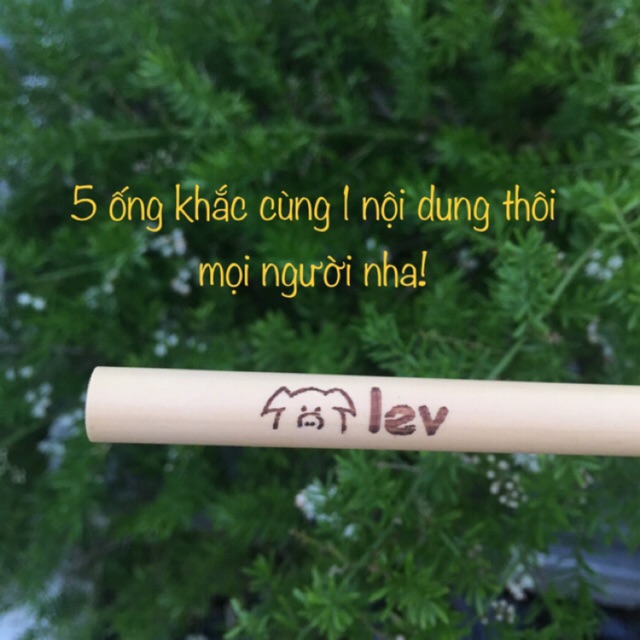 5 ống hút tre khắc theo yêu cầu