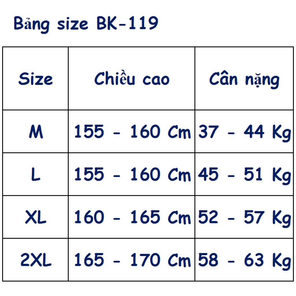 Bộ đồ bơi đi biển nữ 2 mảnh kèm áo khoác lưới BK-119i