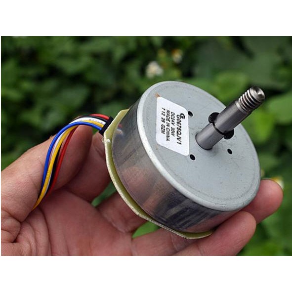 Động cơ không chổi than 24v