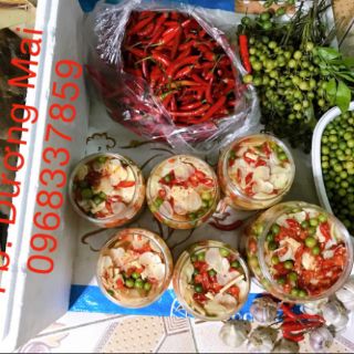 [MĂNG ỚT] MẮC MẬT - MĂNG RỪNG TÂY BẮC
