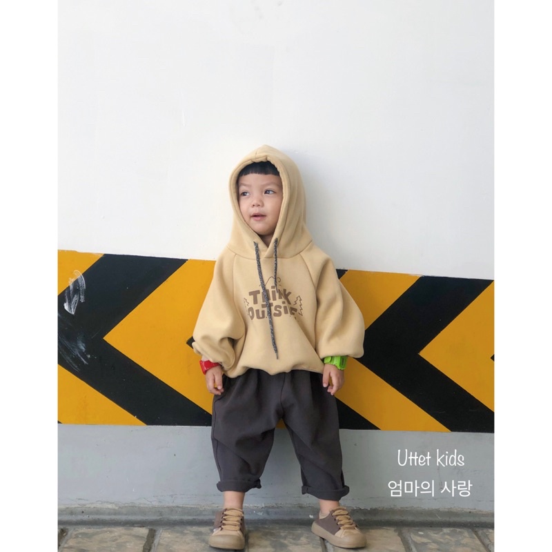 [Ảnh thật] ÁO HOODIE CHO BÉ TRAI VÀ BÉ GÁI CÓ LÓT LÔNG TÔNG MÀU HÀN QUỐC  1191 SIZE 80 ĐẾN 120