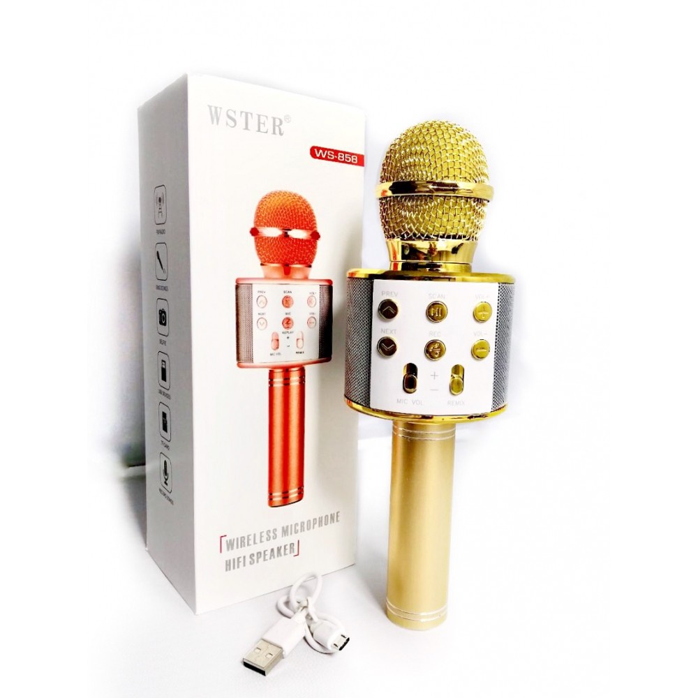 Micro Karaoke Kiêm Loa Bluetooth WS - 858 Tiện Dụng Chất Lượng Cao