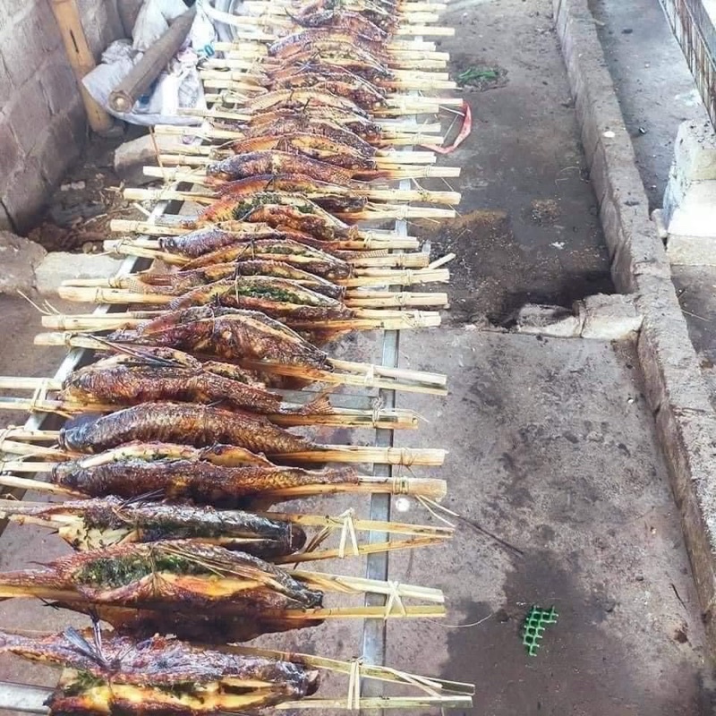 cá nướng của người Thái ở Điện Biên ( cá nướng Tây Bắc)  thơm ngon