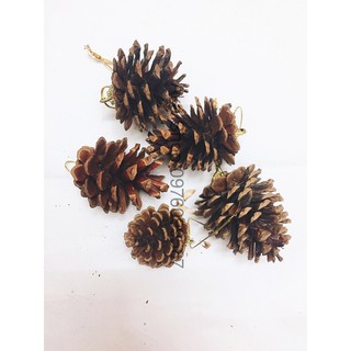 Bộ 05 trái thông khô , trang trí giáng sinh, trang trí cây thông noel
