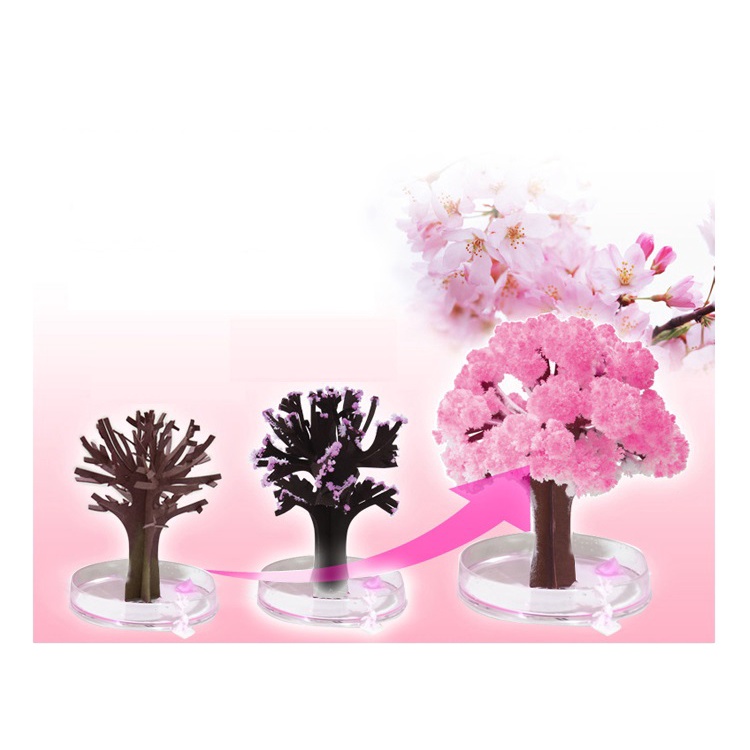 Bộ nuôi tinh thể hoa anh đào Nhật Bản nuôi tinh thể KDP /  ADP -  Quà tặng đặc biệt cho bạn bè