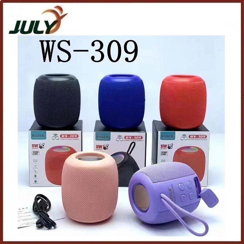 LOA BLUETOOTH WSTER WS-309 ÂM THANH CỰC HAY