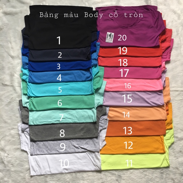 Áo Body Tay Ngắn Cổ Tròn - AN19