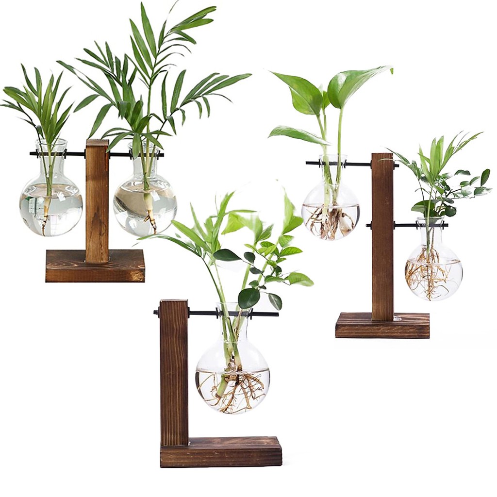 Bộ Chai Thủy Tinh Để Trồng Cây Thủy Sinh - Khung Gỗ Kèm Chai Thủy Tinh Trồng Cây Trang Trí