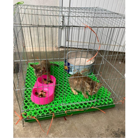 Chuồng nuôi mèo thỏ chim gà 50x50x50 kèm khay phân khoảng nan 1cm, 2cm