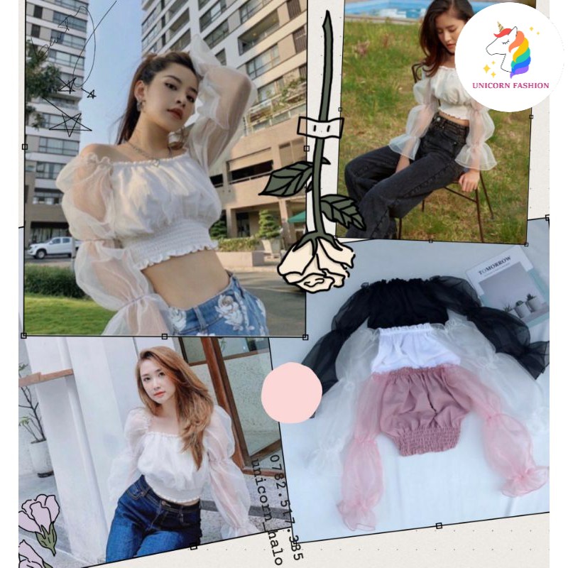 Áo Trễ Vai Voan Kiếng Nhún Croptop Hở Vai Tay Dài Phồng Bo Thun Nữ Xinh Như Hotgirl Chipu DRACR05 Mys Unicorn Fashion