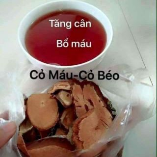 Cỏ bổ máu tăng cân