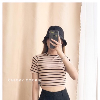 Áo thun gân croptop sọc mã 12 14