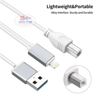Dây chuyển đổi từ Lightning ra USB Type A và Type B - Dây Iphone ra DAC