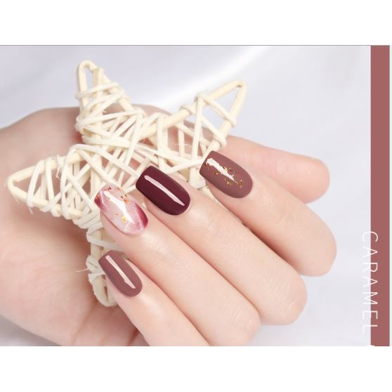 Sơn gel AS lẻ màu nâu chocolate set 12 mã KF