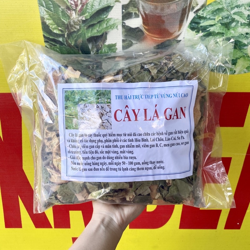 1kg Cây Lá Gan hỗ trợ men gan, sơ gan, gan mỡ, giải độc