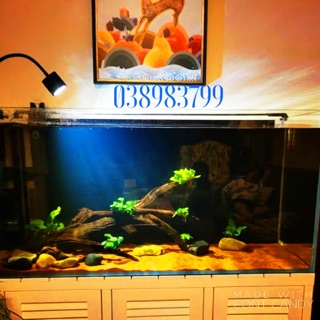 Đèn rọi biotop , bể cá , bể bán cạn