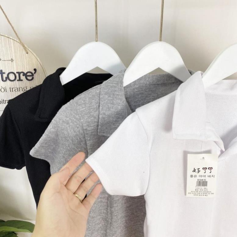 Áo Croptop Polo Cộc Tay Nữ , ❤️MysticStore<FREESHIP>❤️, Áo Cổ Bẻ Chất Thun Gân, Áo Croptop Cổ Tim 3 Màu ĐEN TRẮNG GHI | BigBuy360 - bigbuy360.vn